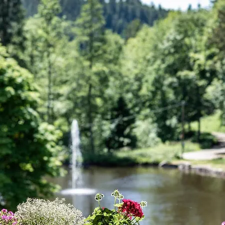 Hotel Lauble Hornberg