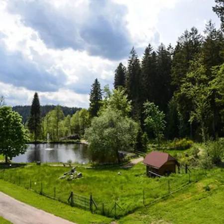 Lauble Hotel Hornberg